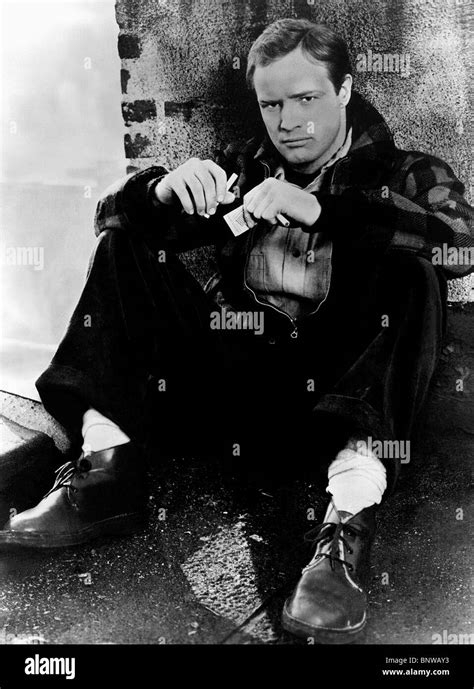 MARLON BRANDO ON THE WATERFRONT (1954 Stock Photo: 30675543 - Alamy