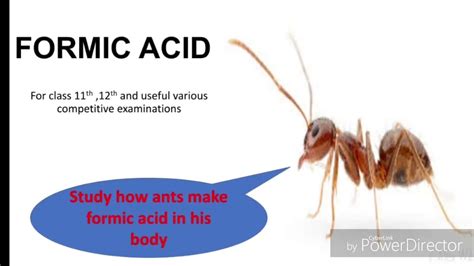 Chemical Properties And Uses Of Formic Acid Youtube