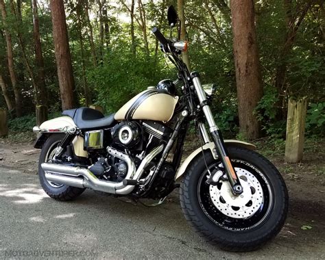 Harley Davidson Fat Bob The Softail Dyna Throwdown Moto Adventurer