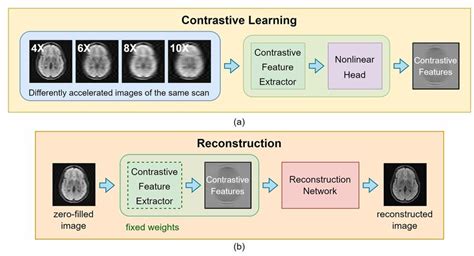 Overview Of The Proposed Colada Framework Contrastive Learning A Download Scientific Diagram