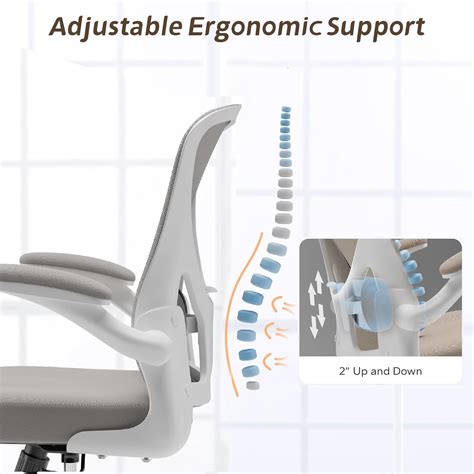 Sichy Age Ergonomic Office Chair Home Desk Office Chair With Flip