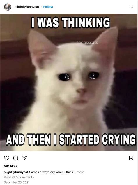 Where Did The Crying Cat Meme Come From