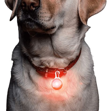 5 Pet Collar Lights Led Light Up Clip On Dog Harness Leash Safety Tag