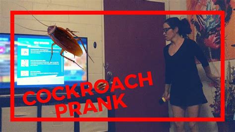 Cockroach Prank On Wife 😂 Youtube