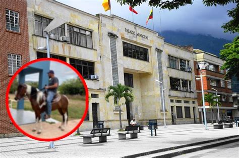 Un “caballista” Manejaría La Contratación En La Alcaldía De Ibagué