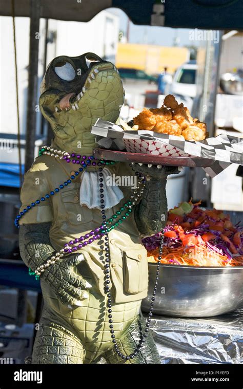 Picaduras De Cocodrilo Fotografías E Imágenes De Alta Resolución Alamy