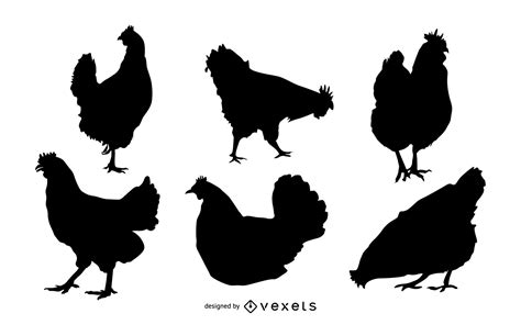 Vectores Gr Ficos De Pollo Para Descargar