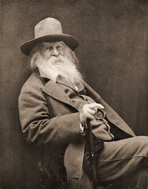 Famous Guys With Long Beards at Alexander Kitchen blog
