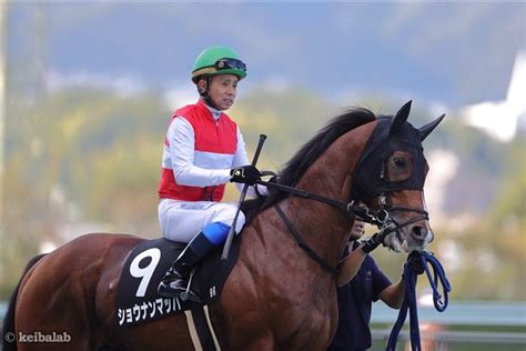 ショウナンマッハ Shonan Mach 競走馬データベース 競馬ラボ