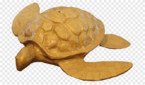 Bestattungsurne tortuga las cenizas urna cremación tortuga animales