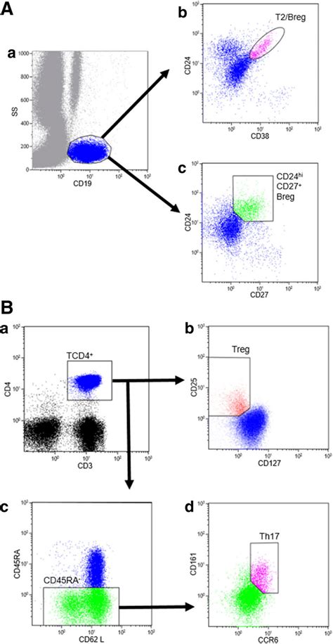 Analysis Of Lymphocyte Subpopulations By Flow Cytometry Gating