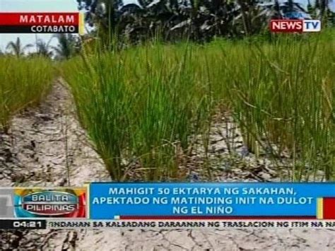 Mahigit Ektarya Ng Sakahan Sa Matalam Cotabato Apektado Ng