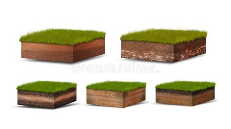 Isometric Soil Layers Diagram Cross Section Of Green Grass And