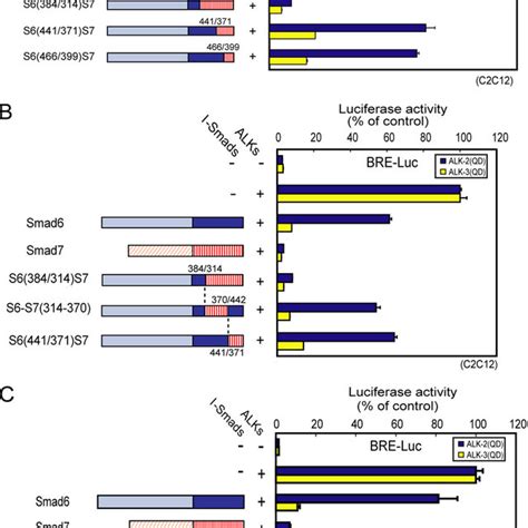 Mapping Of The Regions In Smad7 Required For Inhibition Of Alk 2 Download Scientific Diagram