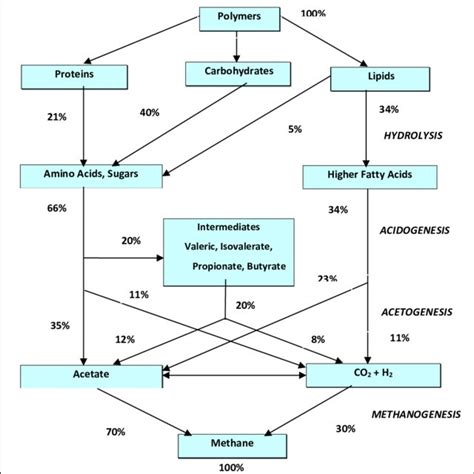 1 Activated Sludge Process (Flow diagram) | Download Scientific Diagram