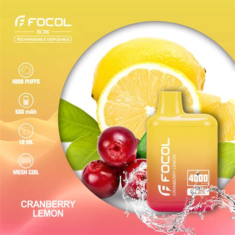 Focol 0/2/3/5% Popular Nicotine Vape Brands 4000 Puffs Vape from China ...