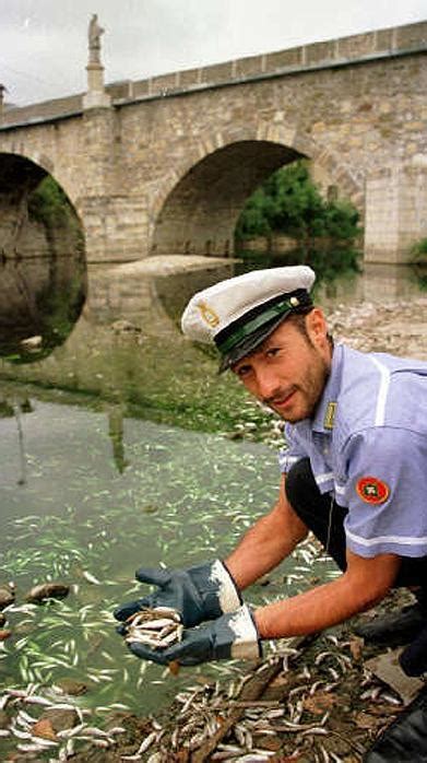 Moria Di Gamberi Dacqua Dolce Nel Canale