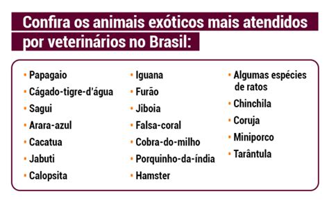 Medicina Veterin Ria De Animais Ex Ticos