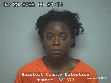 Sharon Jeanette Dotson 10292022 Beaufort County Mugshots Zone