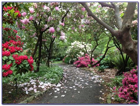 Crystal Springs Rhododendron Garden Portland Oregon - Garden : Home ...