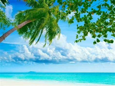 Ultra 4k Beach Wallpapers Top Free Ultra 4k Beach Backgrounds