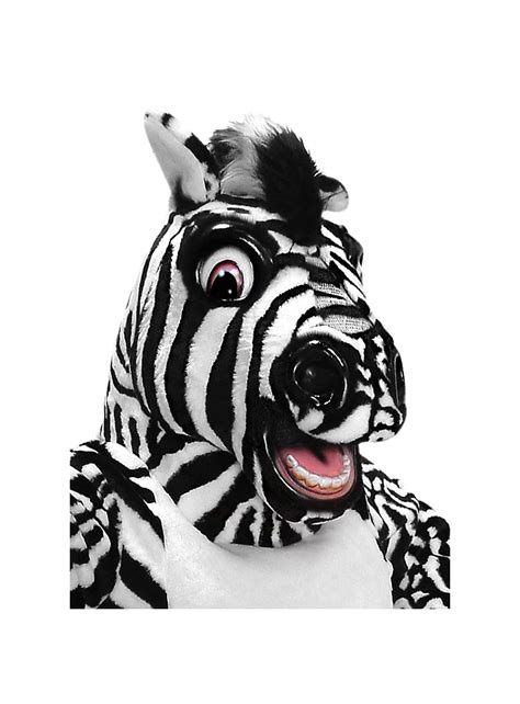 Zebra Mascot