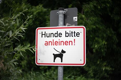 Leinenpflicht für Hunde in Deutschland Wann wo und warum zooplus