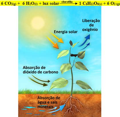 De Onde Vem A Energia Dos Alimentos Alunos Online