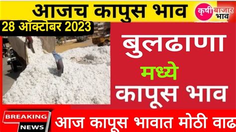 28 ऑक्टोबर आजचे कापूस बाजारभाव Kapus Bajar Bhav Today कापूस बाजार