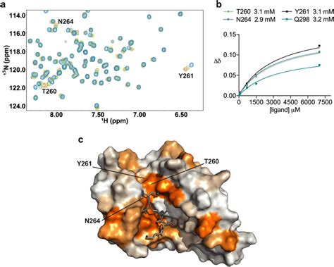 Confirmation of small diacid 4 binding to the Hop TPR2A domain as ...