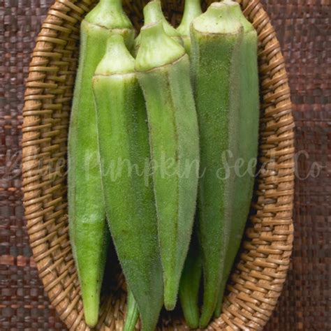 Jambalaya F1 Okra Seeds Blue Pumpkin Seed Co