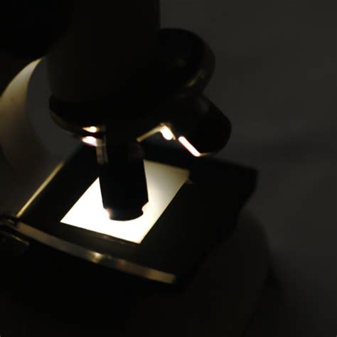 How Does A Light Microscope Work Exploring The Components And