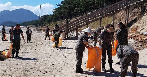 육군31사단 예비군 완도 피해복구 지원