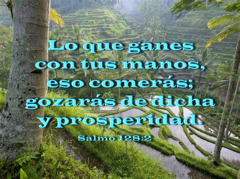 Biblia Paisajes Y Maravillas Salmo