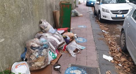 Messina Tra Incuria E Incivilt Che Degrado Sul Viale Regina Elena