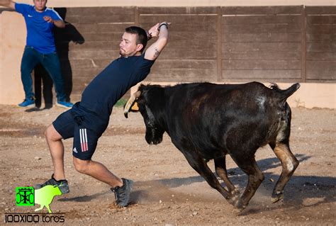 X Toros Capea En Finca Bellalucia