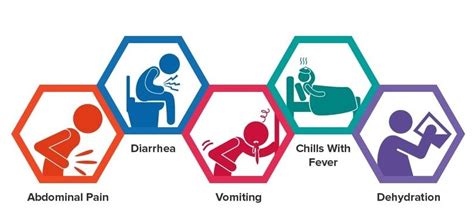 Stomach Flu "Gastroenteritis", Prevention & Treatments! - Veledora health