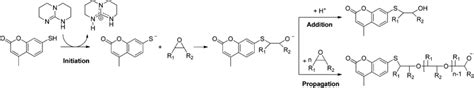 Scheme 3 Base Initiated Mechanism Of The Thiol Epoxy Reaction