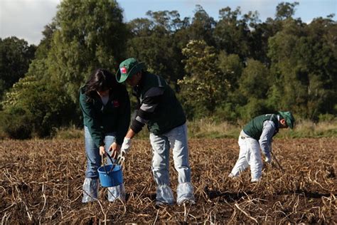 SERVICIO AGRÍCOLA Y GANADERO SAG Flickr