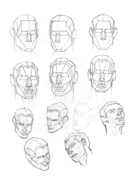 Human Head Plates 2 By Atlas0 On Deviantart Human Skull Anatomy