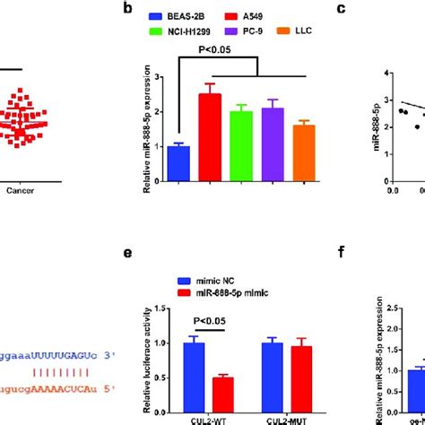 Circ Cul Represses Mir P A B Rt Qpcr Detection Of Mir P