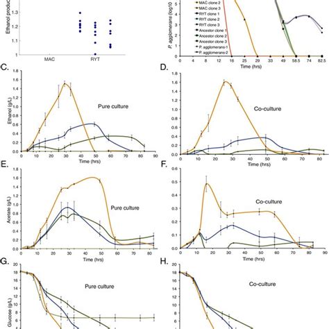 Rapid Gene Expression Evolution In Glycolysis The Tca Cycle And