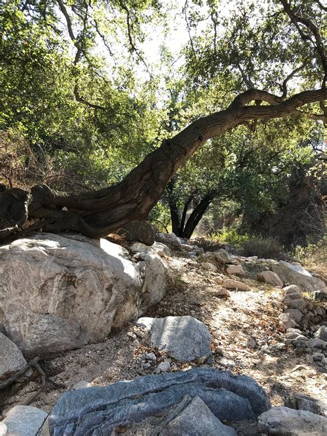 visit altadena  travel guide  altadena los angeles expedia