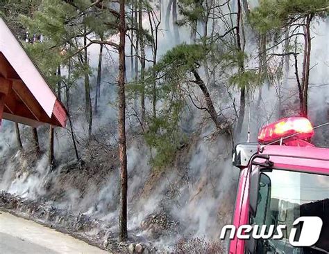 양양 야산에 산불 헬기 3대 투입 진화 중 네이트 뉴스