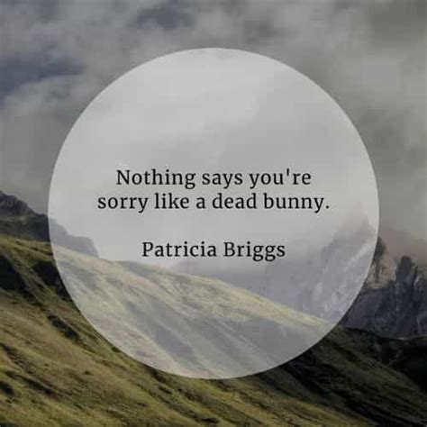 Apology Quotes That Will Inspire You To Say I M Sorry Apologizing