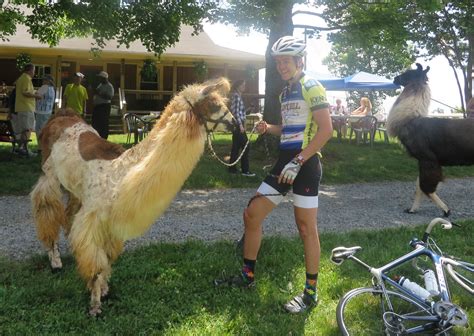 Tour De Llama Is Back On June 25th Samaritan Ministries Winston