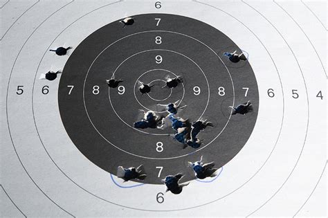 Top 5 Shooting Range Targets | The Range 702