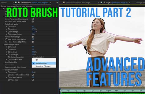 An Illustrated Guide On How To Use The Roto Brush Tool Advanced