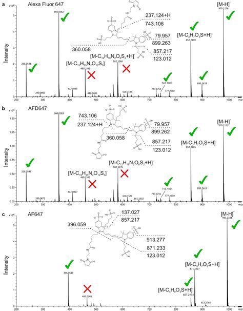 Mass Spectrometry‐based Structure Elucidation Fragmentation Mass