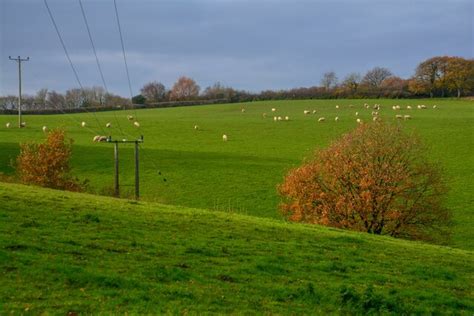 Woodtown Grassy Field Lewis Clarke Cc By Sa Geograph Britain